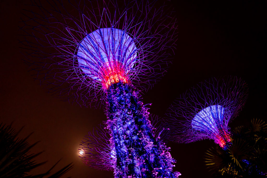Reisemoment 11 in Singapur zum Beitrag Singapore | entdecken
